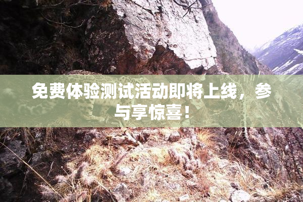 免费体验测试活动即将上线，参与享惊喜！