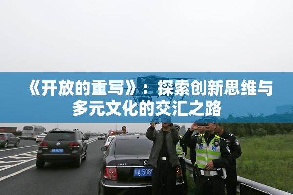 《开放的重写》：探索创新思维与多元文化的交汇之路