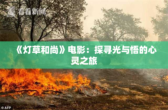 《灯草和尚》电影：探寻光与悟的心灵之旅