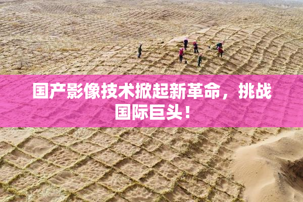 国产影像技术掀起新革命，挑战国际巨头！