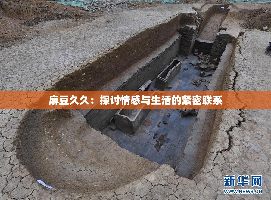 麻豆久久：探讨情感与生活的紧密联系