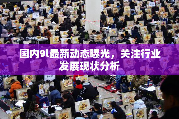 国内9l最新动态曝光，关注行业发展现状分析