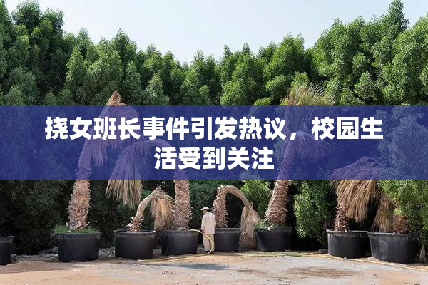 挠女班长事件引发热议，校园生活受到关注