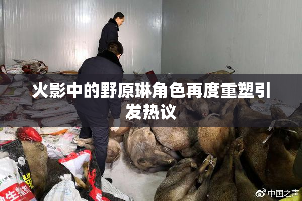 火影中的野原琳角色再度重塑引发热议