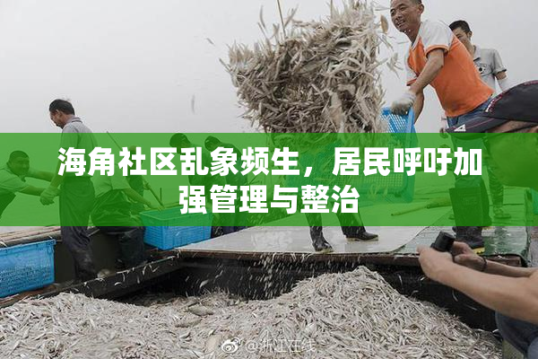 海角社区乱象频生，居民呼吁加强管理与整治