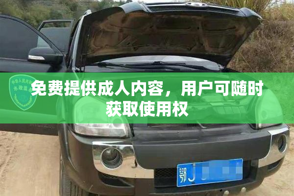 免费提供成人内容，用户可随时获取使用权
