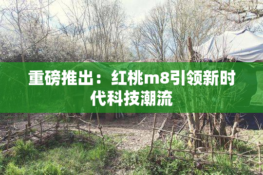 重磅推出：红桃m8引领新时代科技潮流