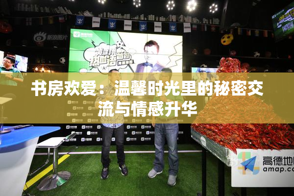 书房欢爱：温馨时光里的秘密交流与情感升华