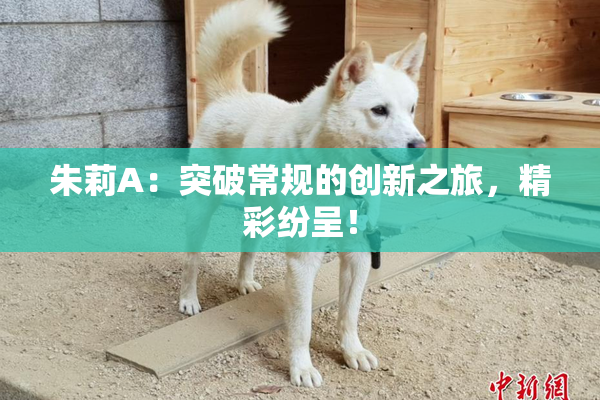 朱莉A：突破常规的创新之旅，精彩纷呈！