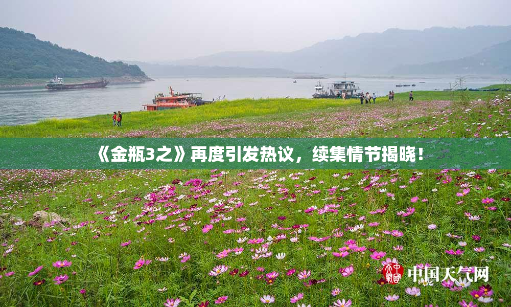 《金瓶3之》再度引发热议，续集情节揭晓！