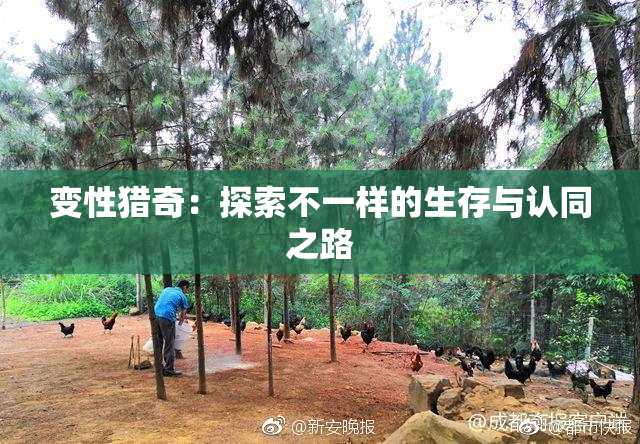 变性猎奇：探索不一样的生存与认同之路