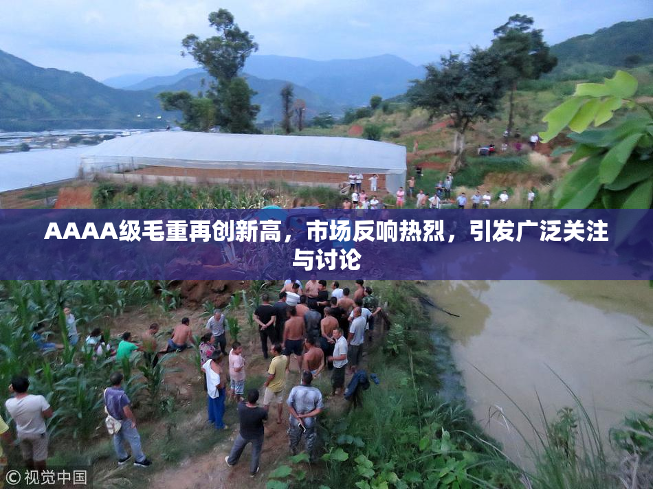 AAAA级毛重再创新高，市场反响热烈，引发广泛关注与讨论