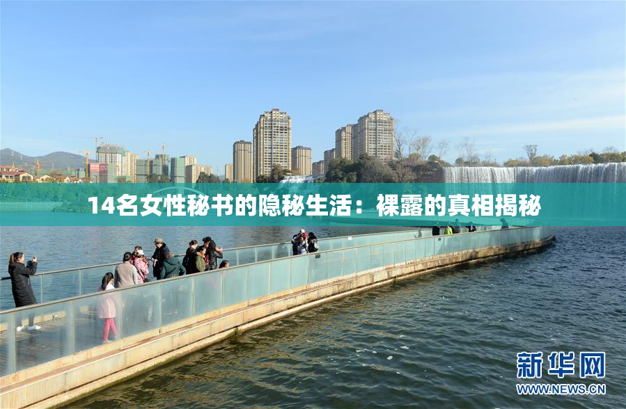14名女性秘书的隐秘生活：裸露的真相揭秘