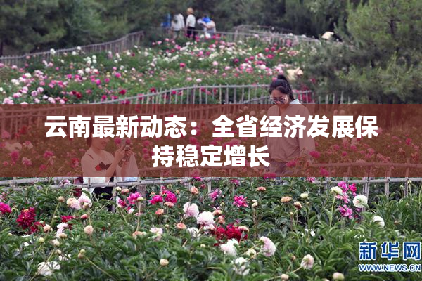 云南最新动态：全省经济发展保持稳定增长