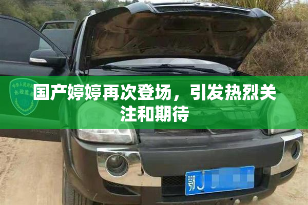 国产婷婷再次登场，引发热烈关注和期待