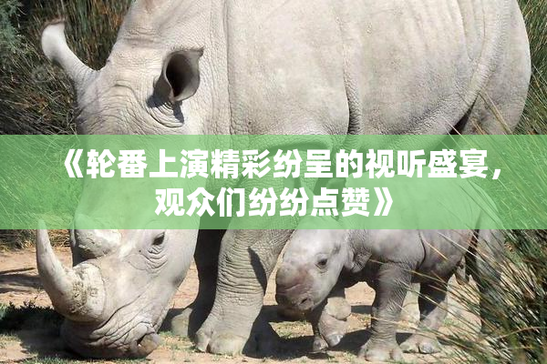 《轮番上演精彩纷呈的视听盛宴，观众们纷纷点赞》
