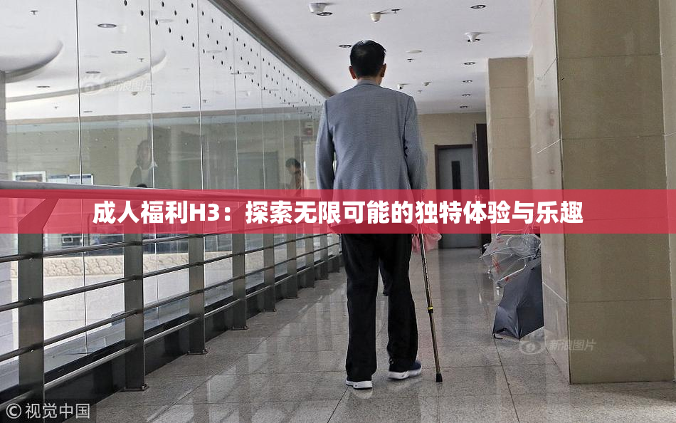 成人福利H3：探索无限可能的独特体验与乐趣
