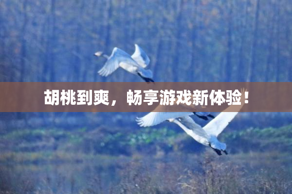 胡桃到爽，畅享游戏新体验！