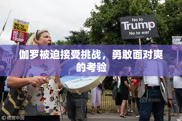 伽罗被迫接受挑战，勇敢面对爽的考验