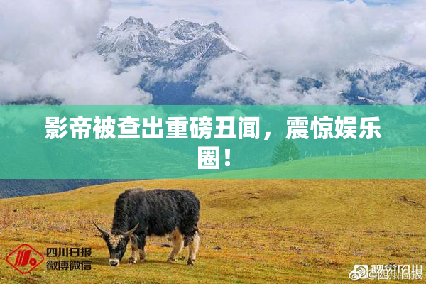 影帝被查出重磅丑闻，震惊娱乐圈！