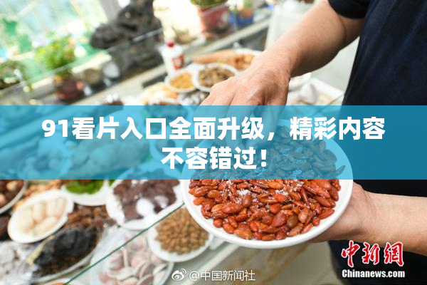 91看片入口全面升级，精彩内容不容错过！