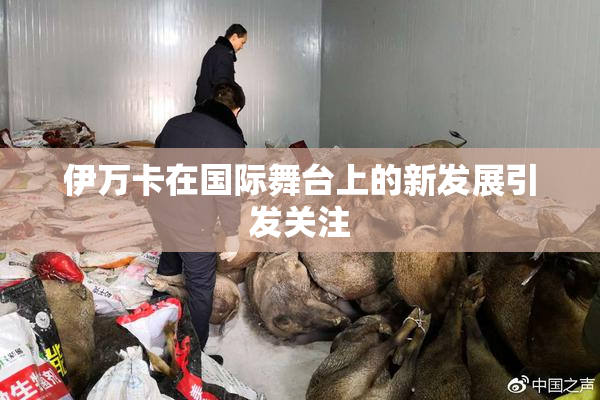 伊万卡在国际舞台上的新发展引发关注