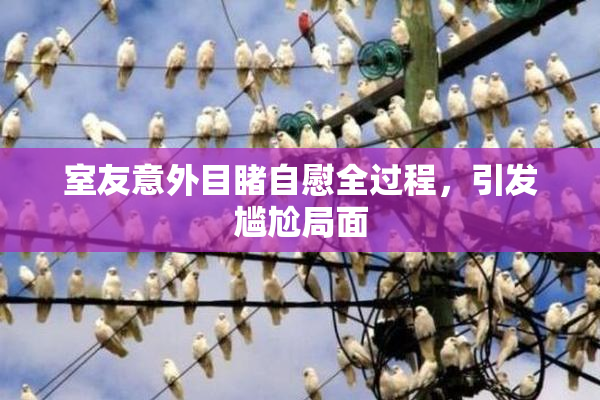 室友意外目睹自慰全过程，引发尴尬局面
