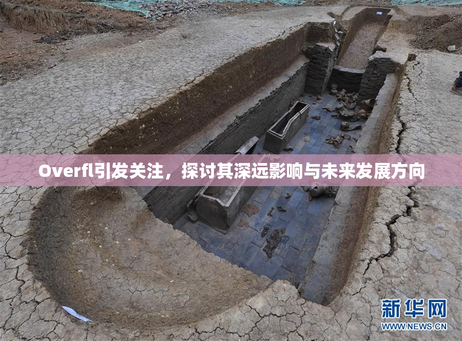 Overfl引发关注，探讨其深远影响与未来发展方向
