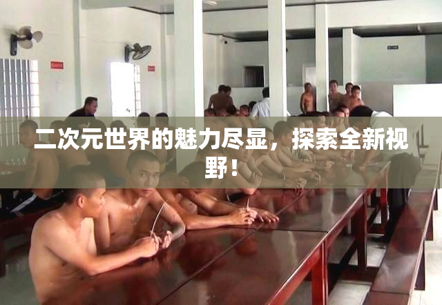 二次元世界的魅力尽显，探索全新视野！