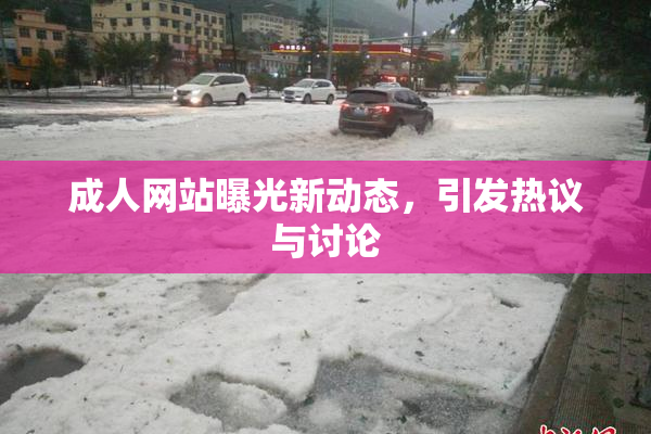 成人网站曝光新动态，引发热议与讨论