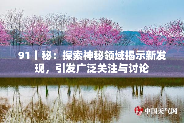 91丨秘：探索神秘领域揭示新发现，引发广泛关注与讨论