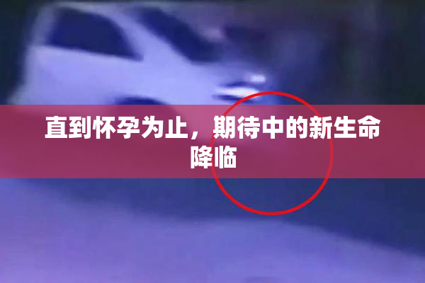 直到怀孕为止，期待中的新生命降临