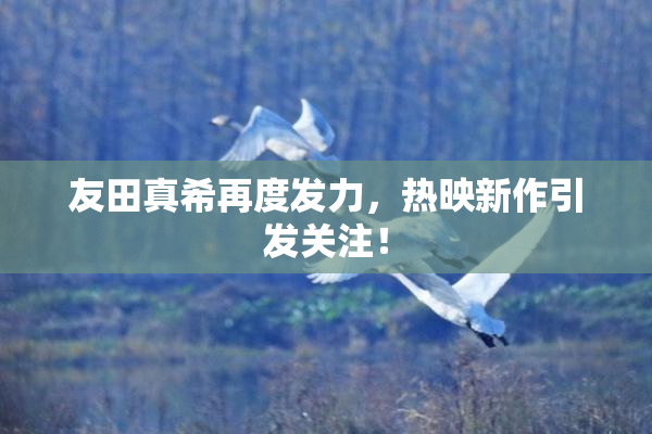 友田真希再度发力，热映新作引发关注！