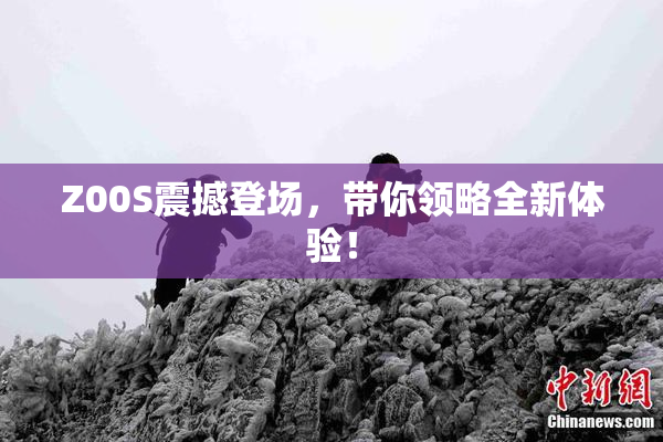 Z00S震撼登场，带你领略全新体验！