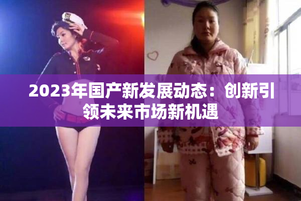 2023年国产新发展动态：创新引领未来市场新机遇