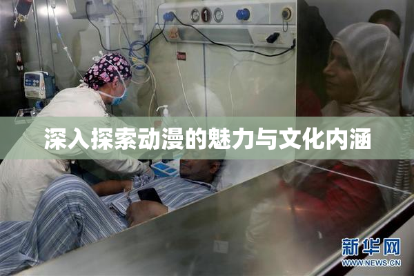 深入探索动漫的魅力与文化内涵