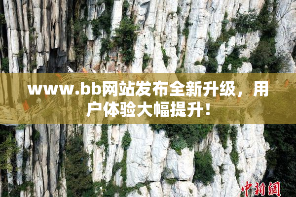 www.bb网站发布全新升级，用户体验大幅提升！