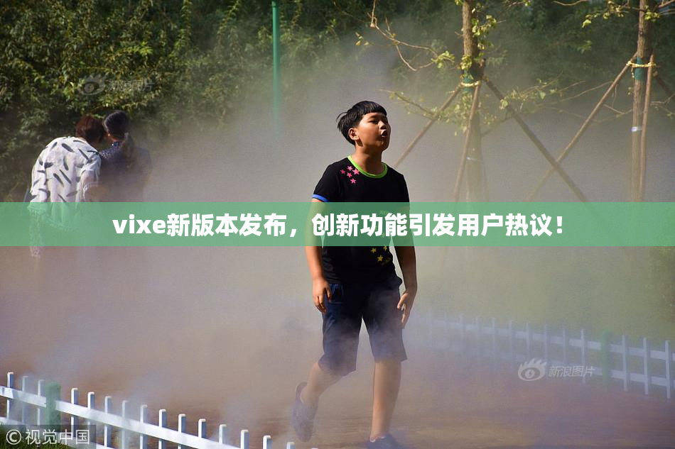 vixe新版本发布，创新功能引发用户热议！