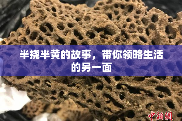 半挠半黄的故事，带你领略生活的另一面