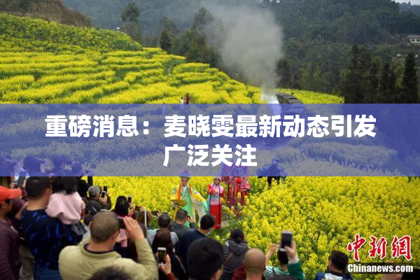 重磅消息：麦晓雯最新动态引发广泛关注