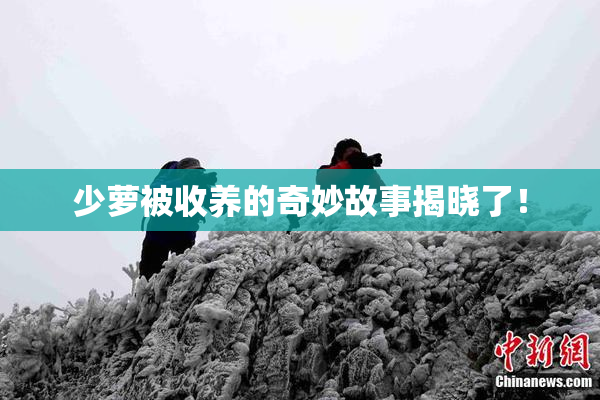 少萝被收养的奇妙故事揭晓了！