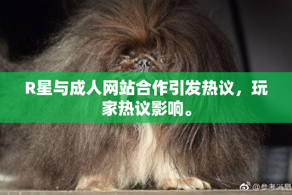 R星与成人网站合作引发热议，玩家热议影响。