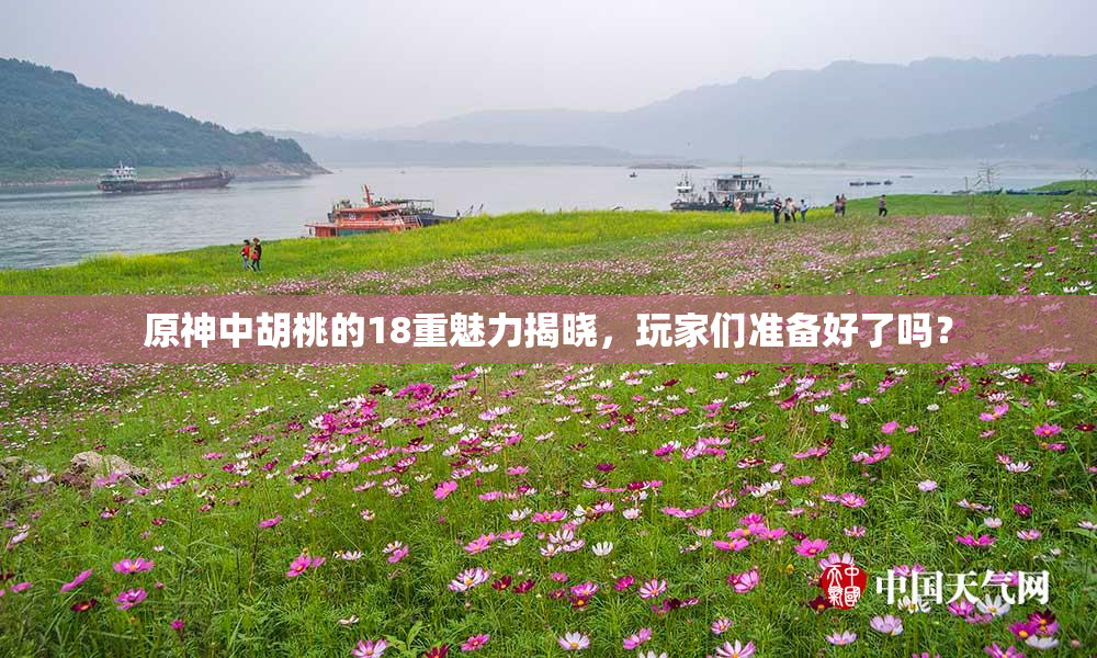 原神中胡桃的18重魅力揭晓，玩家们准备好了吗？