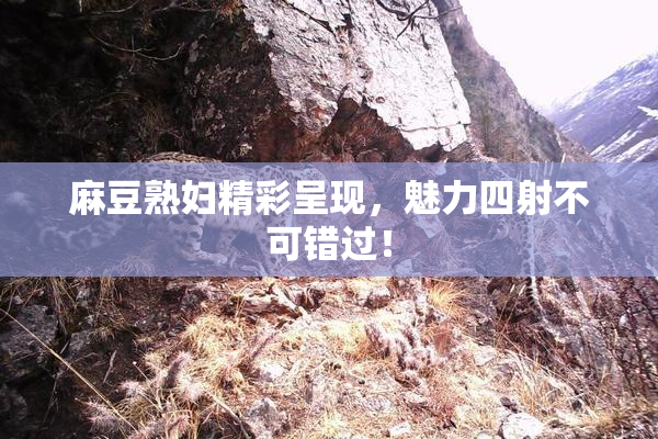 麻豆熟妇精彩呈现，魅力四射不可错过！