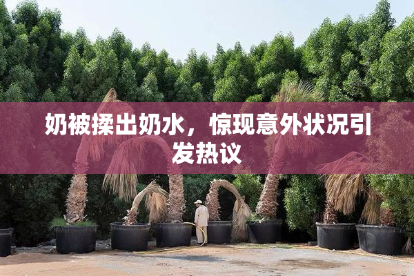 奶被揉出奶水，惊现意外状况引发热议
