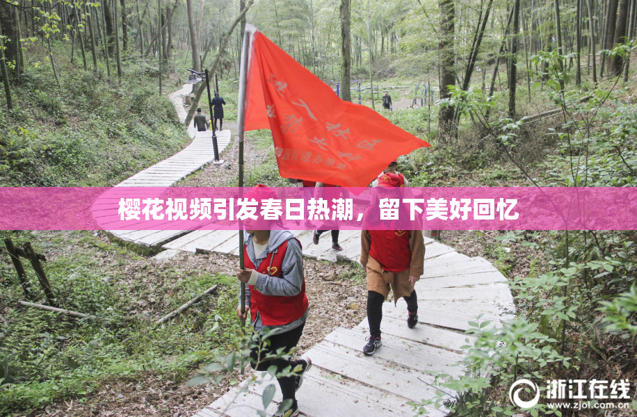 樱花视频引发春日热潮，留下美好回忆
