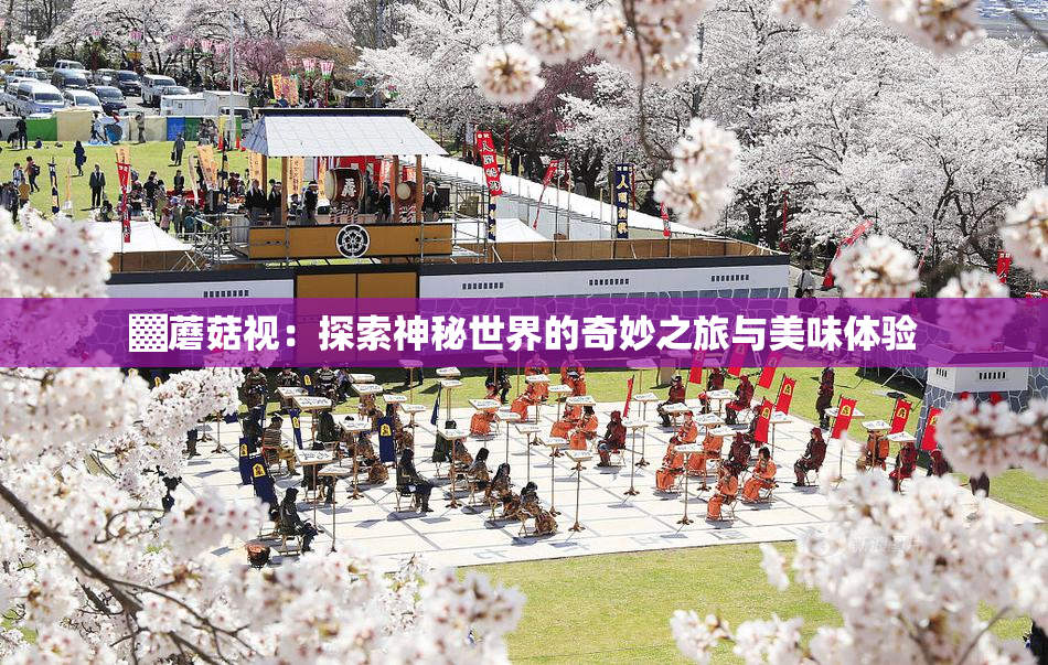 ▓蘑菇视：探索神秘世界的奇妙之旅与美味体验