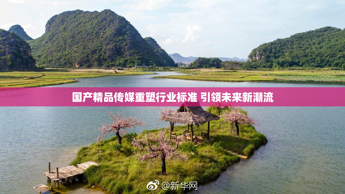 国产精品传媒重塑行业标准 引领未来新潮流
