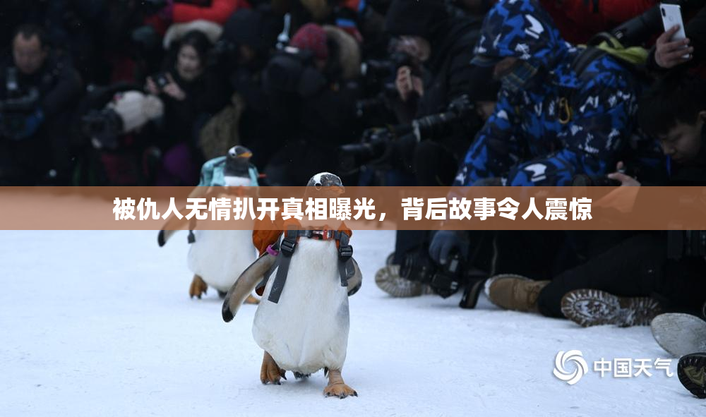 被仇人无情扒开真相曝光，背后故事令人震惊