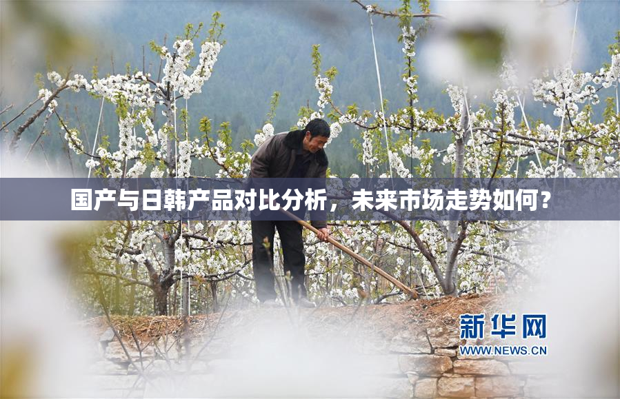 国产与日韩产品对比分析，未来市场走势如何？